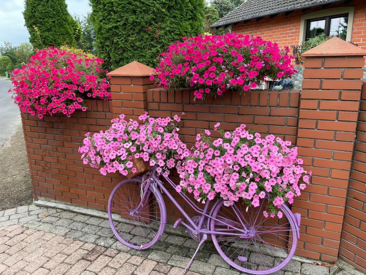 Hortus Apartament Z Klimatyzacja Boleslawiec  Buitenkant foto