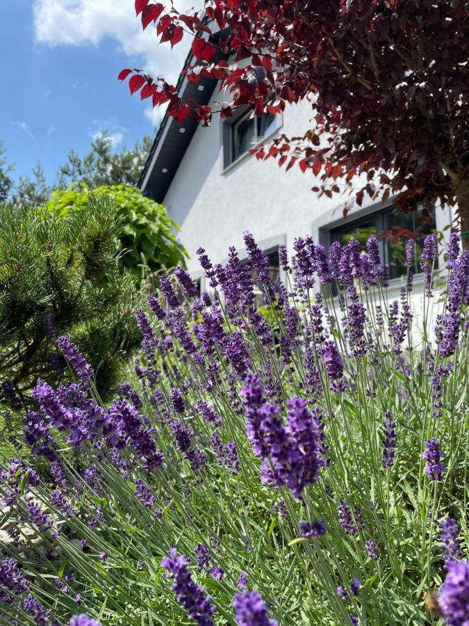 Hortus Apartament Z Klimatyzacja Boleslawiec  Buitenkant foto