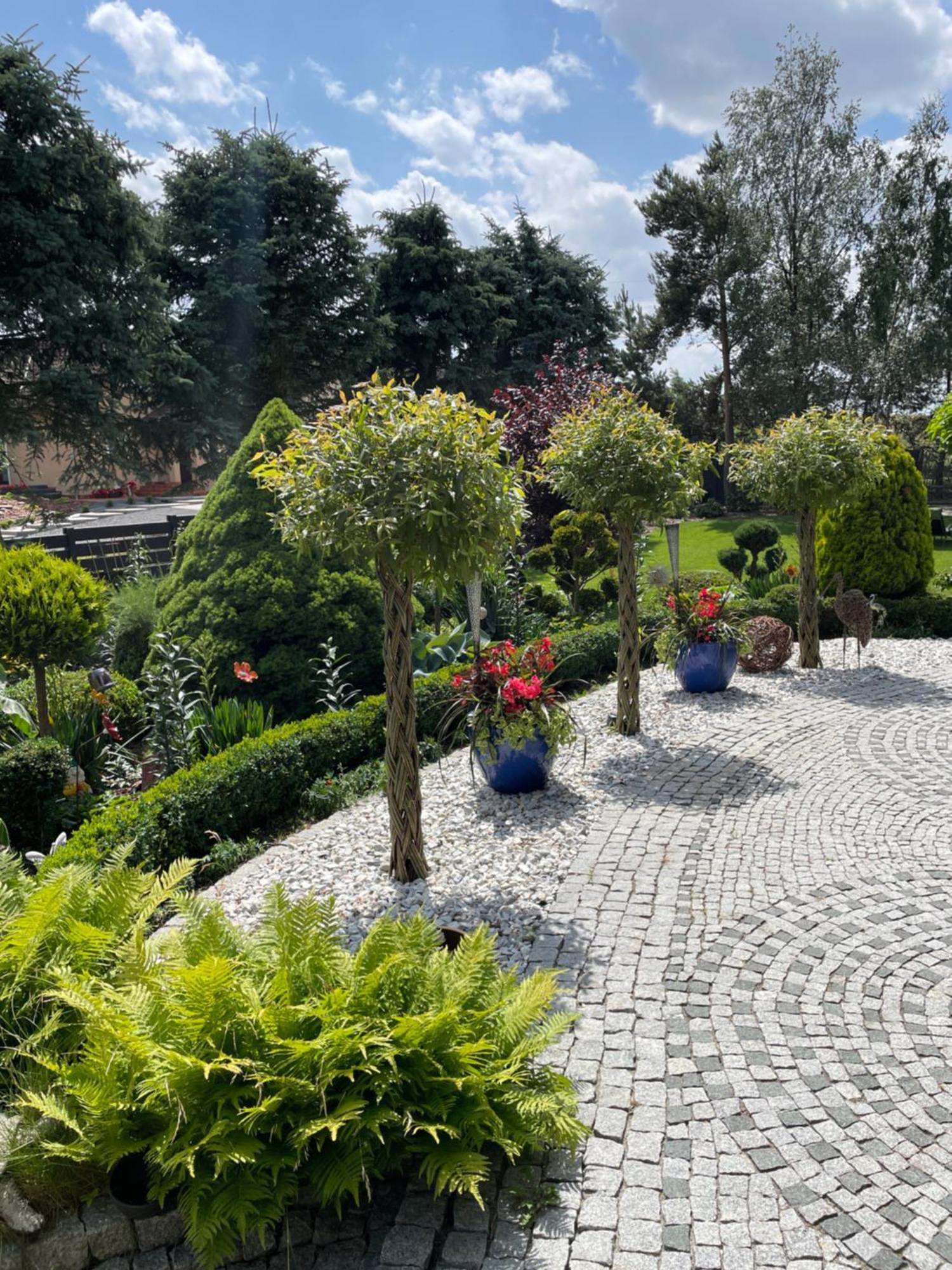 Hortus Apartament Z Klimatyzacja Boleslawiec  Buitenkant foto