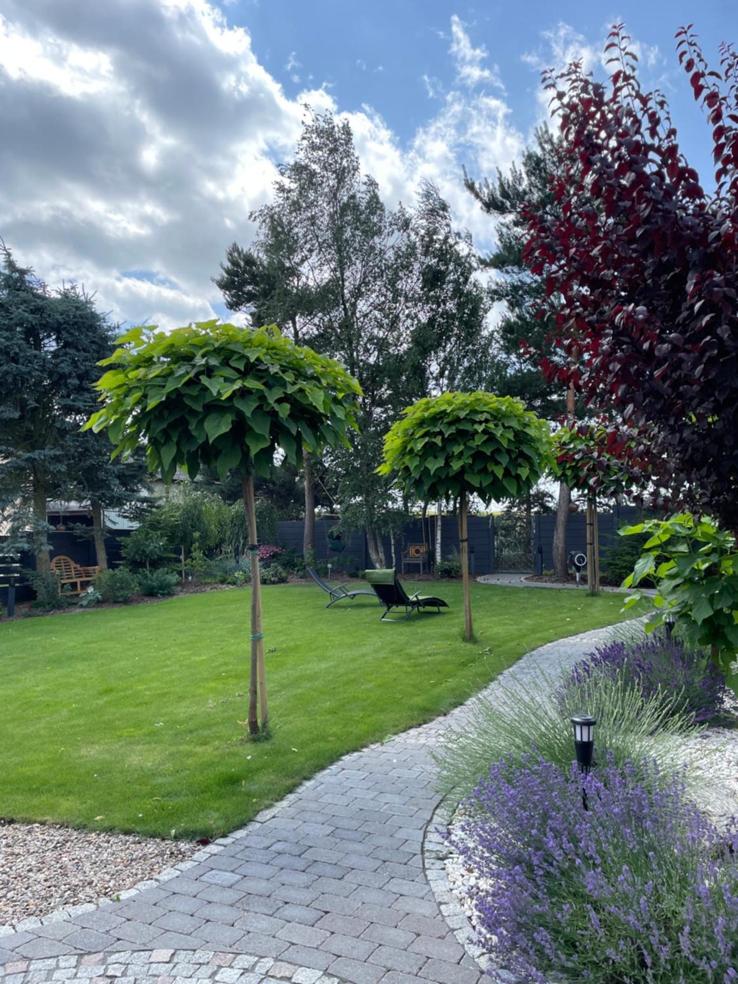 Hortus Apartament Z Klimatyzacja Boleslawiec  Buitenkant foto