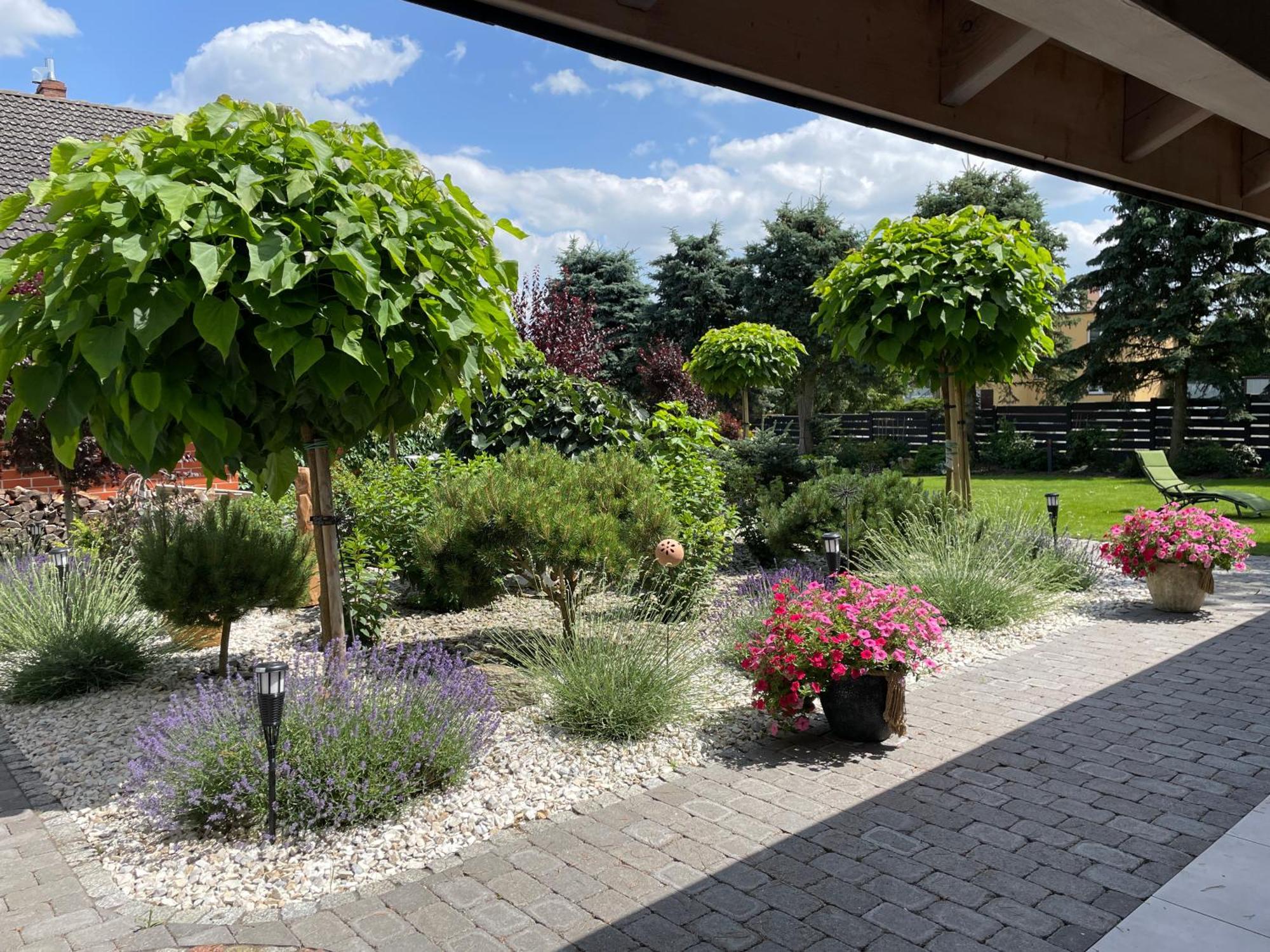 Hortus Apartament Z Klimatyzacja Boleslawiec  Buitenkant foto