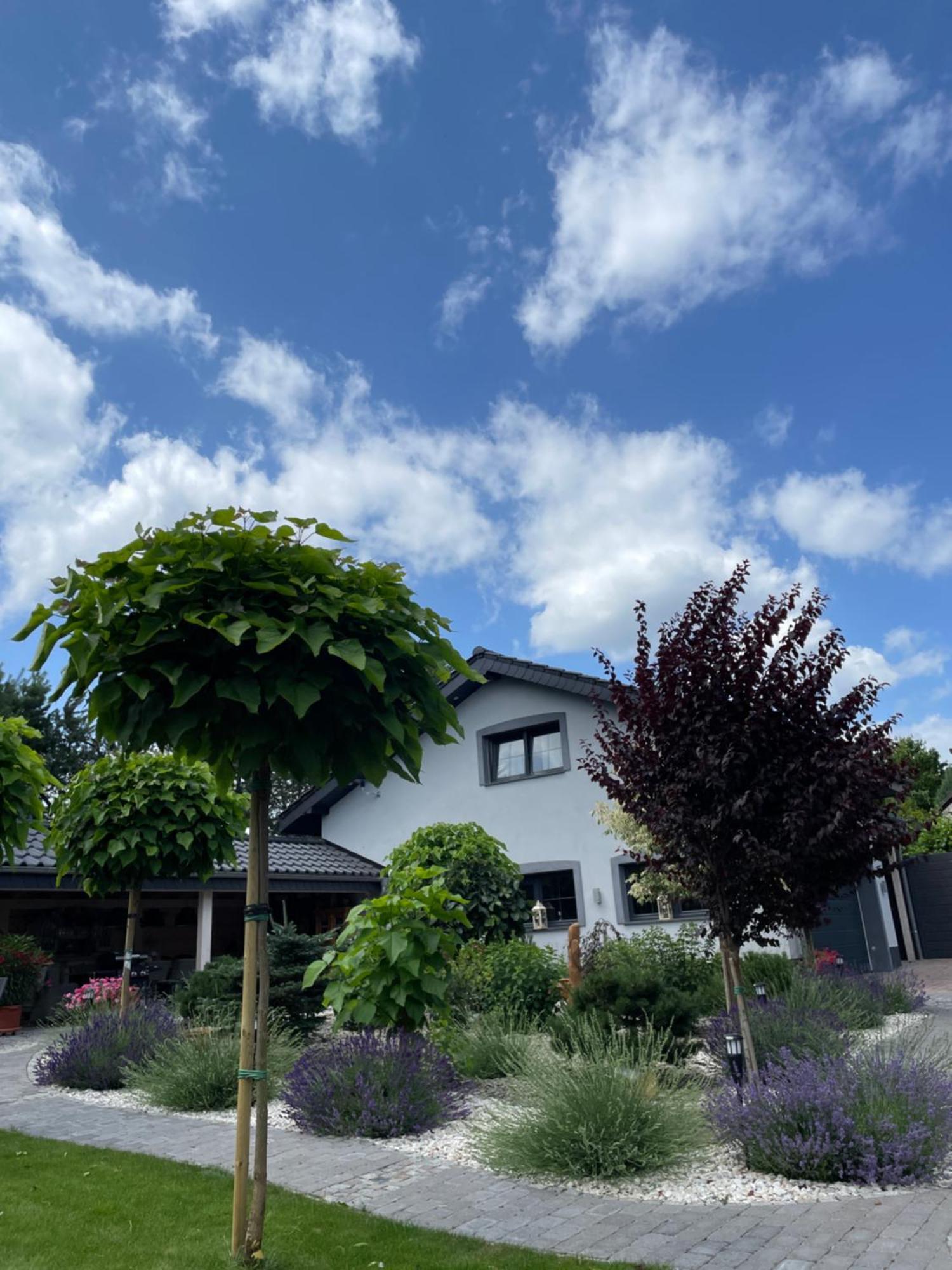 Hortus Apartament Z Klimatyzacja Boleslawiec  Buitenkant foto